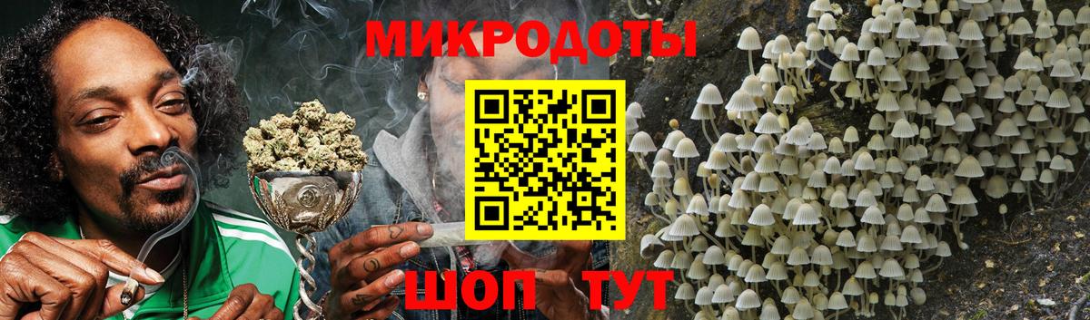 Псилоцибиновые грибы MAGIC MUSHROOMS  Вход с VPN  Жигулёвск 