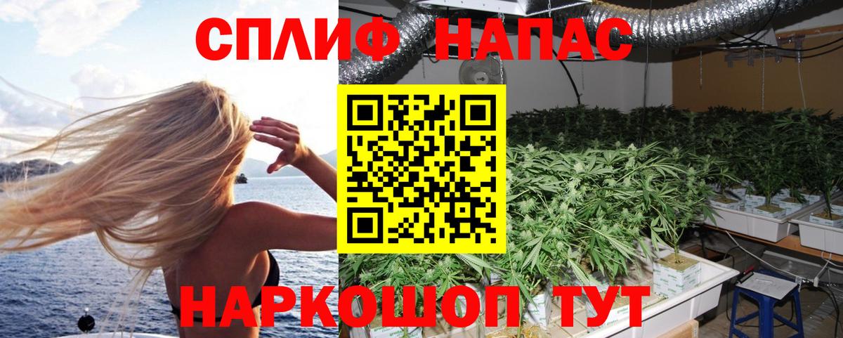 Бошки Шишки OG Kush  Вход с VPN  Жигулёвск  Бошки Шишки Ganja 